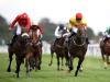 Battaash in mix to defend Temple Stakes title