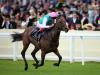 Sandy Lane appeals as Commonwealth Cup prep for Calyx