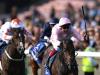 Too Darn Hot in Irish Guineas frame