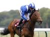 Battaash primed for King's Stand rematch with Blue Point