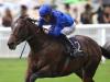 Blue Point set to bid for famous Royal Ascot sprint double