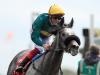 Coronet on top as Dettori delivers in Prix Jean Romanet