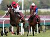 Arc plan still in equation for Deirdre