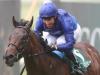 Appleby in wonder at Pinatubo's National Stakes performance
