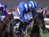 Plans on hold for Elarqam and Madhmoon