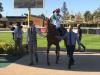Quadrilateral puts herself in Guineas frame