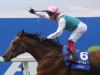Enable wows Newmarket public as Arc preparations gather pace