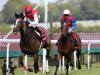 Deirdre stars in Champion Stakes dozen