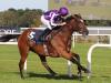 Magical tops nine seeking Champion honours