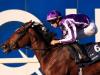 O'Brien confirms Filly & Mare Turf target for Magical