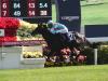 Glory for Japan in Hong Kong Vase