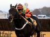 Henderson considering hurdles outing for Might Bite