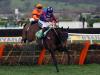 Paisley Park heads Marsh Hurdle sextet