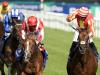 Berkshire Rocco pencilled in for Ascot