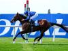 Ghaiyyath retires to stud