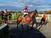 Tiger Roll sixth on Flat comeback at Navan