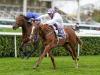 Mac Swiney swoops for Vertem Futurity Trophy glory