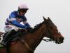 Ascot emerges as possible alternative for Cyrname