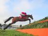 Envoi Allen facing stern examination at Punchestown