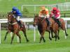 Sams Profile grabs Galmoy glory