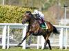 Palace Pier back in style with mighty Mile performance