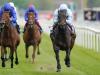 Primo Bacio primed for Rothschild bid