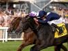 Wings Of War prevails in Mill Reef battle
