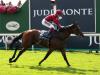 Mishriff still in the mix for Breeders' Cup