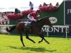 Mishriff set to miss Breeders' Cup