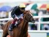 Stradivarius to race next year