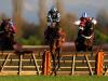 Thomas Darby returns to top form with Long Distance glory