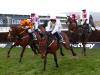 Select field of five take Tingle Creek test