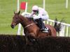 Patrick Mullins purring at chance to partner Chacun Pour Soi in Tingle Creek cracker
