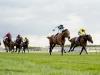York seeks to rename Duke of York Stakes to distance from Andrew