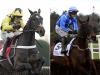 Shishkin and Energumene all set for heavyweight showdown at Ascot