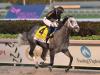 Knicks Go crowned Longines World&#39;s Best Racehorse