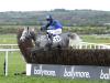 Fahy hoping Gowran ground will favour Mister Fogpatches