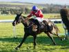 Ferny Hollow ruled out of Cheltenham Festival