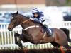 Skytastic makes striking impression on jumping bow