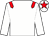 White body, red epaulettes, white arms, white cap, red star (Passion Racing Club)