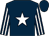Dark blue, white star, striped sleeves (Excel Racing)