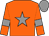 Orange, grey star, armlets and cap (Alchemy Bloodstock 1)
