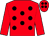 Red, black spots, red sleeves, black spots on cap (De Luain Racing Syndicate)