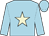 Light blue, beige star (The Macdougall Two)