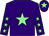 Purple, light green star, purple sleeves, light green stars, purple cap, light green star (Mrs Fiona Carmichael)
