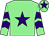 Light green, purple star, purple chevrons on sleeves, purple star on cap (Katie & Brian Castle Partnership)