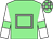 Light green, grey hollow box, white sleeves, light green armlets, light green and grey check cap (Fosnic Racing)