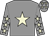 Grey, beige star, grey sleeves, beige stars and stars on cap (Dr Marwan Koukash)