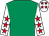 Emerald green, white sleeves, red stars, white cap, red stars (Miss Debbie McConnell)
