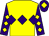 Yellow, purple triple diamond, purple sleeves, yellow diamonds, purple cap, yellow diamond (Mr A Chapman)